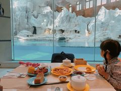 -帝企鹅自助餐厅•儿童岛•真企鹅(长隆企鹅酒店)