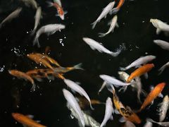 -侠成水上农庄(工业大道店)