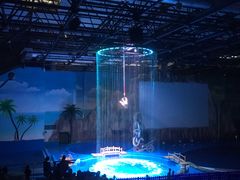 -华夏文旅海洋公园