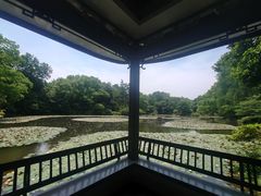 -山外山·林语花园餐厅