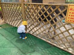 -萌宠亲子动物乐园(槐房万达店)