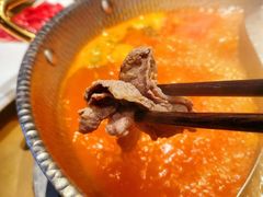 -手选潮汕鲜活牛肉火锅(二七广场店)