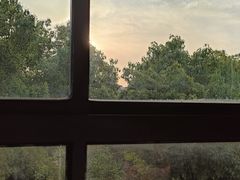 -刘胖子家常菜·蹄花焖藕(兴业店)