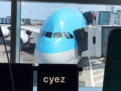 -约翰·菲茨杰拉德·肯尼迪国际机场