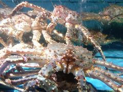 -青石桥市场北1-27号