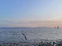 -红树湾(地铁站)