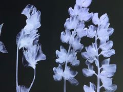 -时代美术馆-成都馆