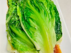 -金鼎轩(方庄天坛店)