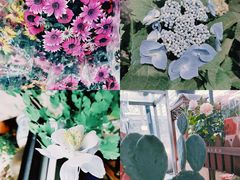 -金科花卉市场