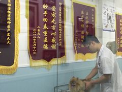 -中农大我爱我爱24h动物医院·中医针灸·猫专科·骨科医疗中心(双井店)
