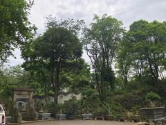 -贵州省植物园