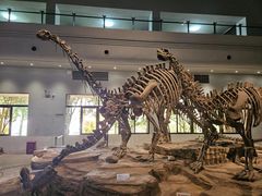 -自贡恐龙博物馆