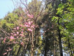 -飘香酒馆·私房菜