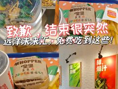 -远洋未来汇