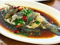广式铜盆鱼-洲晓鲜·舟山海鲜大排档(朱家尖风景区店)