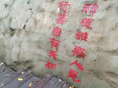 -天女山森林公园
