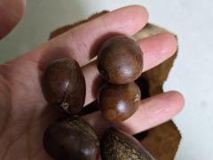 -秋栗香(地安门店)