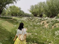 -汉长安城未央宫国家考古遗址公园