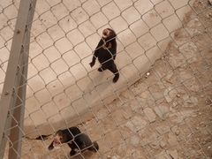 -石家庄市动物园