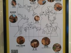 -正佳自然科学博物馆