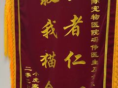 -中农国际动物医院24小时·猫科·骨科·急重症中心
