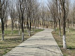 -东郊湿地公园