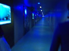 -白鹤梁水下博物馆