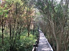 -新江湾城公园
