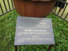-水绘园