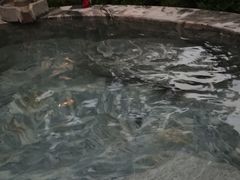 -英德宝晶宫天鹅湖茶语温泉