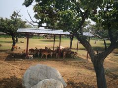 -西安秦岭野生动物园