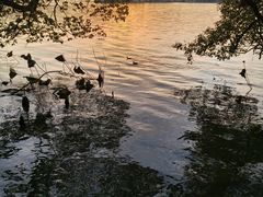 -东湖落雁景区