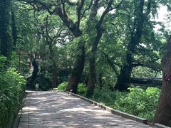 -普陀山慧济禅寺