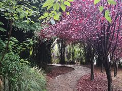 -贵阳市花溪国家城市湿地公园