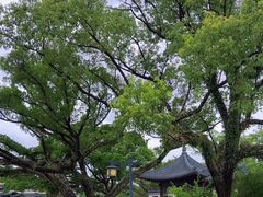 -江心屿景区