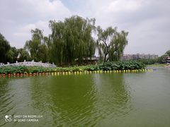 景点-陶然亭公园