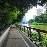 漫步公园