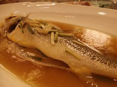 -上海安亭别墅花园酒店