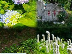 -国家植物园