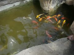 -兰陵国家农业公园