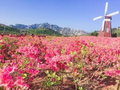 -西海岸生态观光园