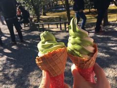 -豆政(金閣寺境内売店)