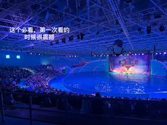 -海合安青岛极地海洋公园