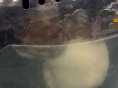 -心仪动物医院·牙专科·肿瘤·心脏科(西客站院)