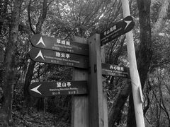 -杭州半山国家森林公园