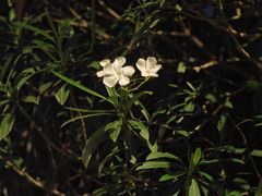 -幕燕滨江·长江观音景区