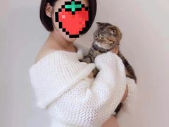 -Bastet sally猫舍购宠(静安店)