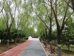 -大兴滨河森林公园