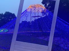 -海上田园