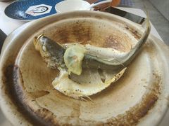 -食悦江南·淮扬菜·烤鸭(亚运村·惠新店)